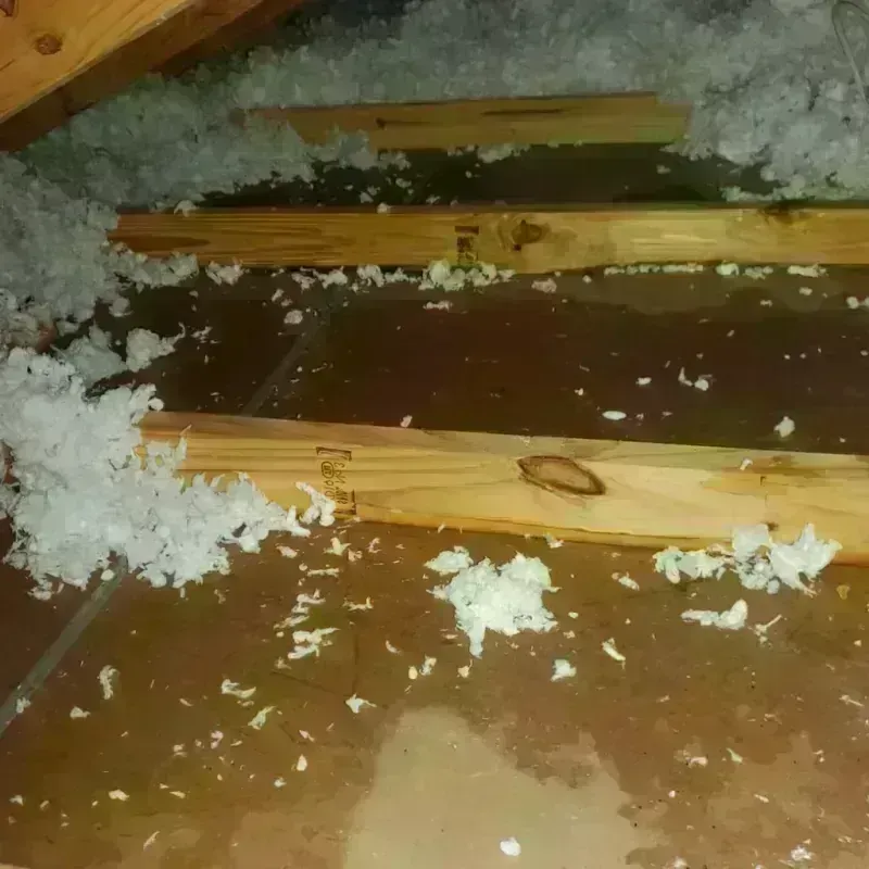 Attic Water Damage in Allamakee County, IA